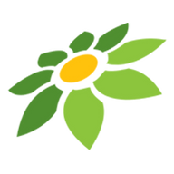 NN ML